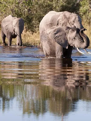 La rivière fantôme d'Afrique