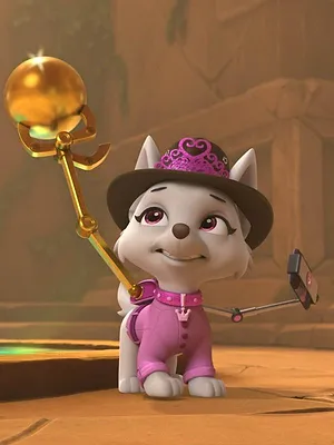 Paw Patrol, la Pat'Patrouille S10 E8