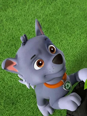 Paw Patrol, la Pat'Patrouille S6 E4