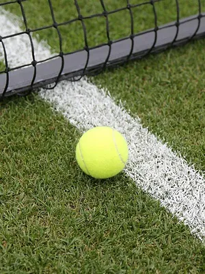 Tennis : Tournoi ATP de Bois-le-Duc