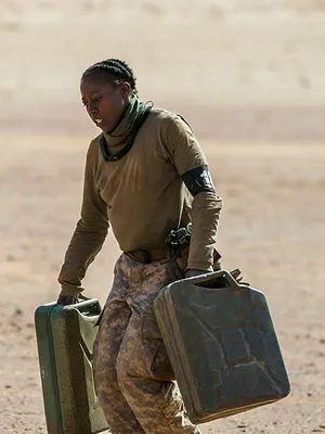SAS : Qui ose gagne