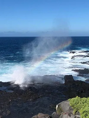 Les Galápagos : Un paradis florissant