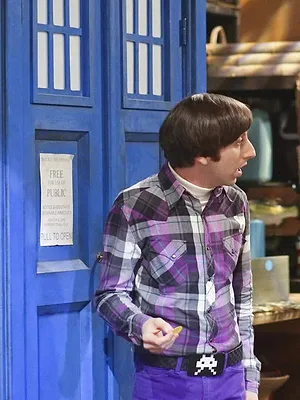 Big Bang Theory S8 E19