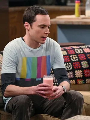 Big Bang Theory S7 E24