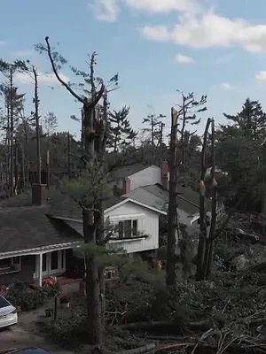 Dans l'enfer des catastrophes naturelles