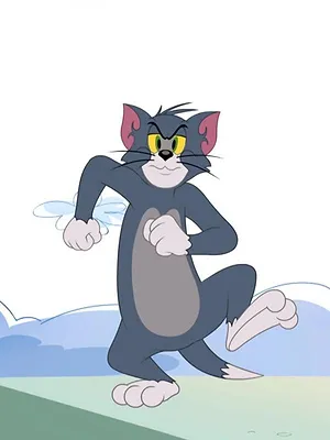 Tom et Jerry Show S5 E1