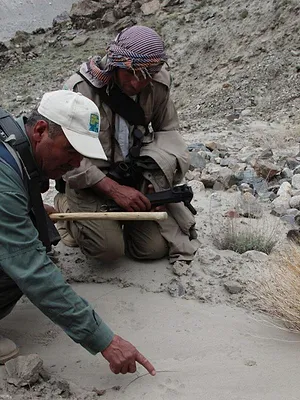 Le léopard d'Afghanistan