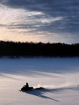 Alaska : nouvelle vie