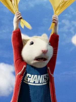 Stuart Little 2
