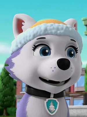 Paw Patrol, la Pat'Patrouille S8 E9
