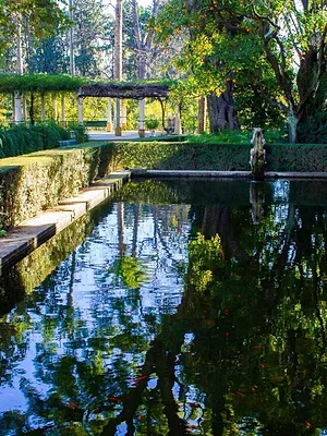 Piscines de rêve
