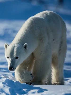 L'Allemagne au fil de l'eau