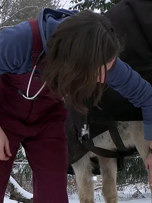 L'incroyable Dr Pol