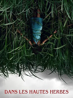 Dans les hautes herbes