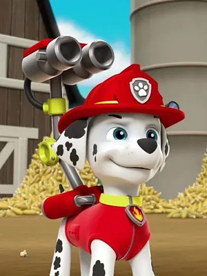 Paw Patrol, la Pat'Patrouille S2 E10