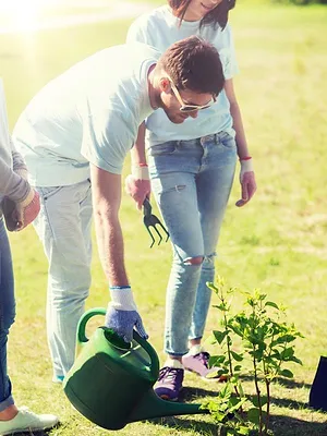 Monty Don's Rhineland Gardens