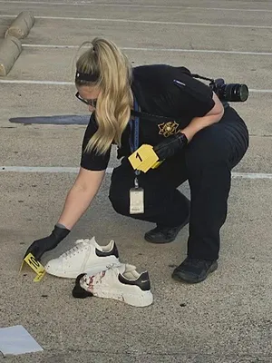 Le tueur d'hôtesses de l'air