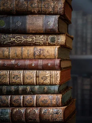 Les belges histoires