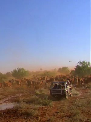 Les avions du bout du monde