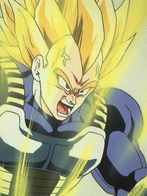 Dragon Ball Z S1 E230