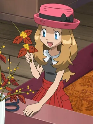 Pokémon : XY S17 E33