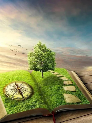 1000 Bornes Challenge S1 E49