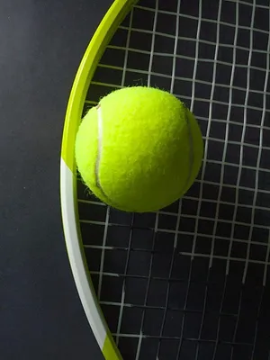 The Ring Master : Alexander Bublik