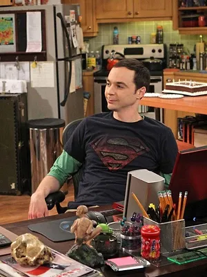 Big Bang Theory S6 E19