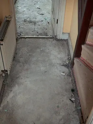 Homes Under the Hammer