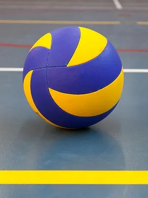 Volley-ball