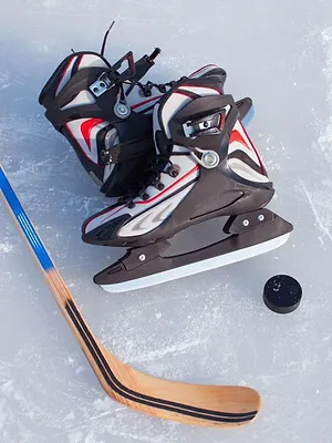 Detroit Red Wings / New York Rangers