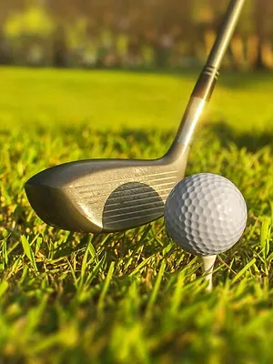 Championnat des Bermudes