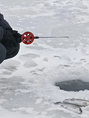 Québec à vol d'oiseau