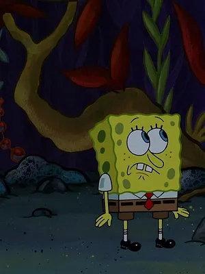 Bob l'éponge S9 E24