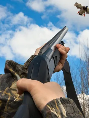 Québec à vol d'oiseau