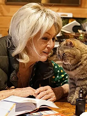 La vie secrète des chats