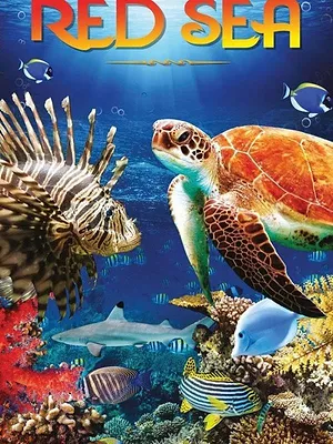 La Mer Rouge, comme vous ne l'avez jamais vue