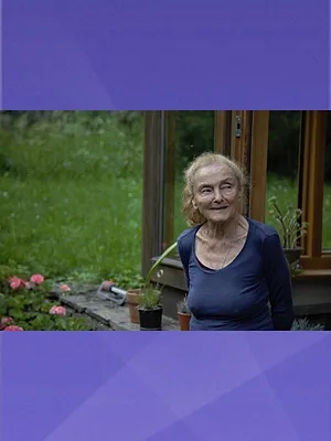 Österreichs wunderbare Jahre