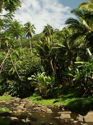 Patrimoines de France