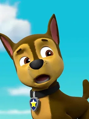 Paw Patrol, la Pat'Patrouille S3 E25