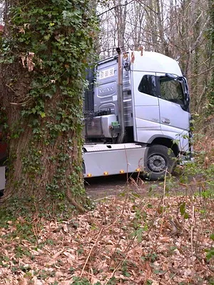 Bûcheron : un métier à hauts risques