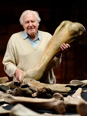 Attenborough and the Mammoth Graveyard