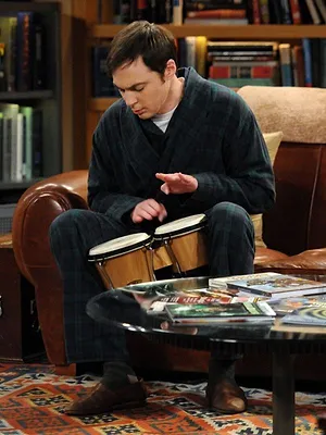 Big Bang Theory S5 E18