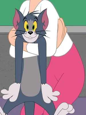 Tom et Jerry Show S5 E34