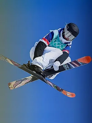 Ski acrobatique. Short-track