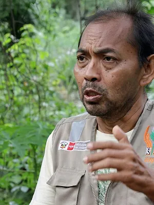 Pérou, les abeilles sacrées d'Amazonie
