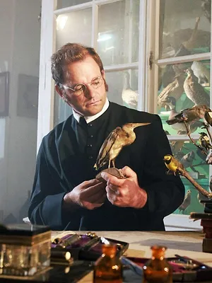 Geheimnisvolle Moorlandschaften