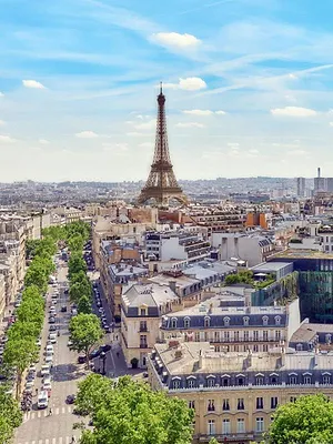 Le Grand Débarras, un tri à tout prix