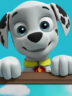 Paw Patrol, la Pat'Patrouille S6 E22