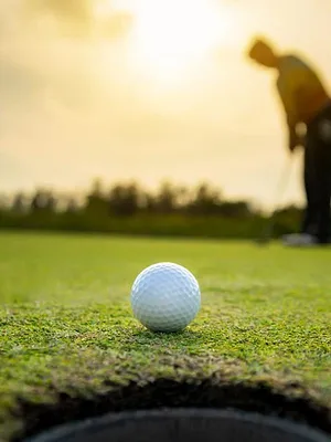 Golf : Open de Detroit